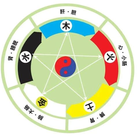 五行人格查詢